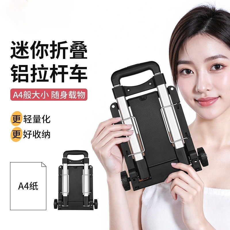Folding Small Cart with Alumin - Fishing Rod Travel 评论和价格